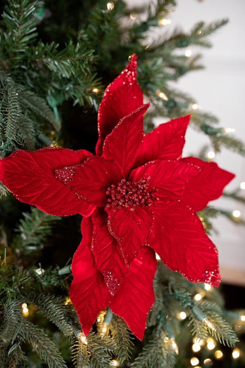 28" Glittered Velvet Sheer Red Poinsettia