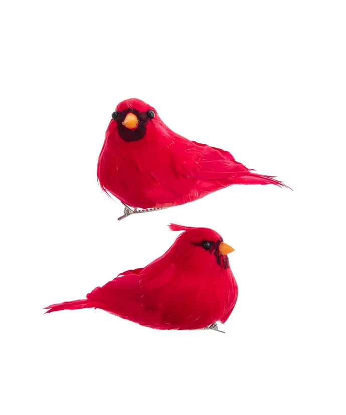 Red Cardinal (Single)